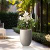 imageKante 217quot H Buff Concrete Tall Planter Large Outdoor Indoor Decorative Pot with Drainage Hole and Rubber Plug Modern Round Style for Home and GardenWeathered Concrete