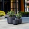 imageKante Round Concrete Planter 11 Inch Dia Classic Style Large Plant Pot with Drainage Hole for Indoor ampamp Outdoor Plants Ideal for Home Patio Garden BlackCharcoal