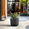 imageKante Round Concrete Planter 11 Inch Dia Classic Style Large Plant Pot with Drainage Hole for Indoor ampamp Outdoor Plants Ideal for Home Patio Garden BlackBlack