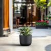 imageKante Round Concrete Planter 11 Inch Dia Classic Style Large Plant Pot with Drainage Hole for Indoor ampamp Outdoor Plants Ideal for Home Patio Garden BlackBlack
