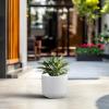 imageKante Round Concrete Planter 11 Inch Dia Classic Style Large Plant Pot with Drainage Hole for Indoor ampamp Outdoor Plants Ideal for Home Patio Garden BlackWhite