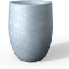 Blue-gray