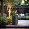 imageKante 201 Inch Tall Concrete Planter Round Pedestal Design Garden Pot for Indoor Outdoor Plants Modern Garden Pot with Drainage Hole Charcoal Finish with Warm Brown InteriorCharcoal
