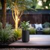 imageKante 201 Inch Tall Concrete Planter Round Pedestal Design Garden Pot for Indoor Outdoor Plants Modern Garden Pot with Drainage Hole Charcoal Finish with Warm Brown InteriorBlack