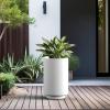 imageKante 201 Inch Tall Concrete Planter Round Pedestal Design Garden Pot for Indoor Outdoor Plants Modern Garden Pot with Drainage Hole Charcoal Finish with Warm Brown InteriorWhite