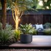 imageKante 201 Inch Tall Concrete Planter Round Pedestal Design Garden Pot for Indoor Outdoor Plants Modern Garden Pot with Drainage Hole Charcoal Finish with Warm Brown InteriorCharcoal