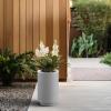imageKante 201 Inch Tall Concrete Planter Round Pedestal Design Garden Pot for Indoor Outdoor Plants Modern Garden Pot with Drainage Hole Charcoal Finish with Warm Brown InteriorWhite