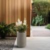 imageKante 201 Inch Tall Concrete Planter Round Pedestal Design Garden Pot for Indoor Outdoor Plants Modern Garden Pot with Drainage Hole Charcoal Finish with Warm Brown InteriorWeathered Concrete