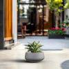 imageKante 125quot Dia Round Concrete Bonsai Planters Outdoor Indoor Garden Plant Pot with Drainage Hole for Home Patio Garden Concrete Gray