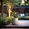 imageKante 165quot Round Concrete Planter Large Cylinder Plant Pot with Curved Bottom and Drainage Hole for Indoor and Outdoor Use  Garden or Patio Weathered Concrete Finish with Warm Brown InteriorWeathered Concrete