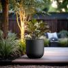 imageKante 165quot Round Concrete Planter Large Cylinder Plant Pot with Curved Bottom and Drainage Hole for Indoor and Outdoor Use  Garden or Patio Weathered Concrete Finish with Warm Brown InteriorBlack
