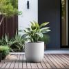 imageKante 165quot Round Concrete Planter Large Cylinder Plant Pot with Curved Bottom and Drainage Hole for Indoor and Outdoor Use  Garden or Patio Weathered Concrete Finish with Warm Brown InteriorWhite