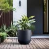 imageKante 165quot Round Concrete Planter Large Cylinder Plant Pot with Curved Bottom and Drainage Hole for Indoor and Outdoor Use  Garden or Patio Weathered Concrete Finish with Warm Brown InteriorCharcoal