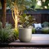 imageKante 165quot Round Concrete Planter Large Cylinder Plant Pot with Curved Bottom and Drainage Hole for Indoor and Outdoor Use  Garden or Patio Weathered Concrete Finish with Warm Brown InteriorWeathered Concrete