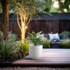 imageKante 165quot Round Concrete Planter Large Cylinder Plant Pot with Curved Bottom and Drainage Hole for Indoor and Outdoor Use  Garden or Patio Weathered Concrete Finish with Warm Brown InteriorWhite