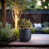 imageKante 165quot Round Concrete Planter Large Cylinder Plant Pot with Curved Bottom and Drainage Hole for Indoor and Outdoor Use  Garden or Patio Weathered Concrete Finish with Warm Brown InteriorCharcoal