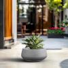 imageKante 169quot Dia Round Concrete Bonsai Planters Outdoor Indoor Garden Plant Pot with Drainage Hole for Home Patio Garden Concrete Gray