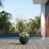 imageKante 173 Inch Dia Cylindrical Planter with Organic Texture Large Round Plant Pot with Drainage Hole Onyx Black Finish with Warm Brown Interior Ideal for Succulent Flowers Trees ShrubsStone Gray