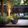imageKante 173 Inch Dia Cylindrical Planter with Organic Texture Large Round Plant Pot with Drainage Hole Onyx Black Finish with Warm Brown Interior Ideal for Succulent Flowers Trees ShrubsStone Gray
