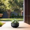 imageKante 177 Inch Dia Concrete Bowl Planter Large Tapered Bottom Plant Pot with Drainage Smooth Weathered Concrete Finish with Warm Brown Interior Ideal for Porch Home Garden PatioBlack