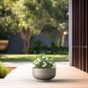 imageKante 177 Inch Dia Concrete Bowl Planter Large Tapered Bottom Plant Pot with Drainage Smooth Weathered Concrete Finish with Warm Brown Interior Ideal for Porch Home Garden PatioWeathered Concrete