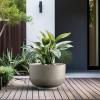 imageKante 177 Inch Dia Concrete Bowl Planter Large Tapered Bottom Plant Pot with Drainage Smooth Weathered Concrete Finish with Warm Brown Interior Ideal for Porch Home Garden PatioWeathered Concrete