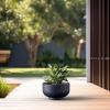 imageKante 177 Inch Dia Concrete Bowl Planter Large Tapered Bottom Plant Pot with Drainage Smooth Weathered Concrete Finish with Warm Brown Interior Ideal for Porch Home Garden PatioCharcoal