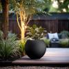 imageKante Round Concrete Flower Pot 193 Inch Dia 14quot Opening Sphere Shape Design Planter with Drainage Hole and Rubber Plug for Outdoor Plants Weathered Concrete Finish with Warm Brown InteriorBlack