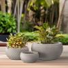 imageKante 115quot 159quot and 208quot Dia Round Concrete Planter Set of 3 Outdoor Indoor Garden Pots for Plants with Draiange Hole Ideal for Patio Garden Porch WhiteWeathered Concrete