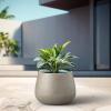 imageKante 125quot Dia Round Concrete Planter Curva Style Garden Pot with Drainage Hole for Indoor ampamp Outdoor Plants Ideal for Tree Flowers Shrubs White Finish with Aqua Blue InteriorWeathered Concrete