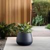 imageKante 125quot Dia Round Concrete Planter Curva Style Garden Pot with Drainage Hole for Indoor ampamp Outdoor Plants Ideal for Tree Flowers Shrubs White Finish with Aqua Blue InteriorCharcoal