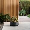 imageKante 142quot Dia Round Curvy Concrete Planter Large Plant Pots with Drainage Hole for Indoor Outdoor Plants Flower Pot for Home Garden Patio Porch White Finish with Aqua Blue InteriorBlack