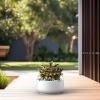 imageKante 142quot Dia Round Curvy Concrete Planter Large Plant Pots with Drainage Hole for Indoor Outdoor Plants Flower Pot for Home Garden Patio Porch White Finish with Aqua Blue InteriorWhite
