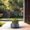 imageKante 142quot Dia Round Curvy Concrete Planter Large Plant Pots with Drainage Hole for Indoor Outdoor Plants Flower Pot for Home Garden Patio Porch White Finish with Aqua Blue InteriorCharcoal