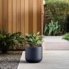 imageKante Round Concrete Planter 138 Inch Dia ClassicStyle Large Pot with Drainage White Finish with Aqua Blue Interior for Indoor ampamp Outdoor Plants Home Patio and GardenCharcoal