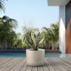 imageKante Round Concrete Planter 9 Inch Dia ClassicStyle Large Pot with Drainage White Finish with Aqua Blue Interior for Indoor ampamp Outdoor Plants Home Patio and GardenWeathered Concrete