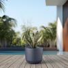 imageKante Round Concrete Planter 9 Inch Dia ClassicStyle Large Pot with Drainage White Finish with Aqua Blue Interior for Indoor ampamp Outdoor Plants Home Patio and GardenCharcoal