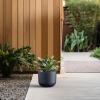 imageKante Round Concrete Planter 9 Inch Dia ClassicStyle Large Pot with Drainage White Finish with Aqua Blue Interior for Indoor ampamp Outdoor Plants Home Patio and GardenCharcoal