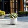 imageKante Round Concrete Planter 9 Inch Dia ClassicStyle Large Pot with Drainage White Finish with Aqua Blue Interior for Indoor ampamp Outdoor Plants Home Patio and GardenWhite