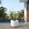 imageKante Round Concrete Planter 9 Inch Dia ClassicStyle Large Pot with Drainage White Finish with Aqua Blue Interior for Indoor ampamp Outdoor Plants Home Patio and GardenWhite