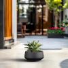 imageKante 169quot Dia Round Concrete Bonsai Planters Outdoor Indoor Garden Plant Pot with Drainage Hole for Home Patio Garden Weathered ConcreteBlack