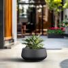 imageKante 169quot Dia Round Concrete Bonsai Planters Outdoor Indoor Garden Plant Pot with Drainage Hole for Home Patio Garden Weathered ConcreteBlack