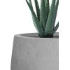imageKante 169quot Dia Round Concrete Bonsai Planters Outdoor Indoor Garden Plant Pot with Drainage Hole for Home Patio Garden Weathered ConcreteNatural Concrete