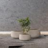 imageKante 169quot Dia Round Concrete Bonsai Planters Outdoor Indoor Garden Plant Pot with Drainage Hole for Home Patio Garden Weathered ConcreteWeathered Concrete