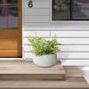 imageKante 196quot157quot118quot Dia Round Concrete Planters Set of 3 Outdoor Indoor Large Plant Pots with Drainage Hole Modern Curvaceous Design Weathered ConcretePure White