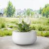 imageKante 196quot157quot118quot Dia Round Concrete Planters Set of 3 Outdoor Indoor Large Plant Pots with Drainage Hole Modern Curvaceous Design Weathered ConcretePure White