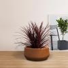 imageKante 196quot157quot118quot Dia Round Concrete Planters Set of 3 Outdoor Indoor Large Plant Pots with Drainage Hole Modern Curvaceous Design Weathered ConcreteIron Oxide