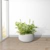 imageKante 196quot157quot118quot Dia Round Concrete Planters Set of 3 Outdoor Indoor Large Plant Pots with Drainage Hole Modern Curvaceous Design Weathered ConcretePure White