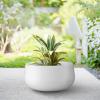 imageKante 196quot157quot118quot Dia Round Concrete Planters Set of 3 Outdoor Indoor Large Plant Pots with Drainage Hole Modern Curvaceous Design Weathered ConcretePure White