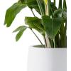 imageKante 196quot157quot118quot Dia Round Concrete Planters Set of 3 Outdoor Indoor Large Plant Pots with Drainage Hole Modern Curvaceous Design Weathered ConcretePure White